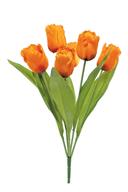 19" Parrot Tulip Bush X6 - Orange