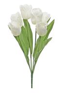 19" Parrot Tulip Bush X6 - White