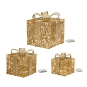 LED PACKAGE WITH LIGHTS -GOLD