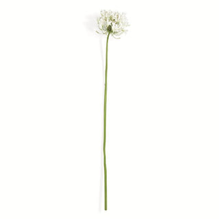 40'' AGAPANTHUS STEM - WHITE