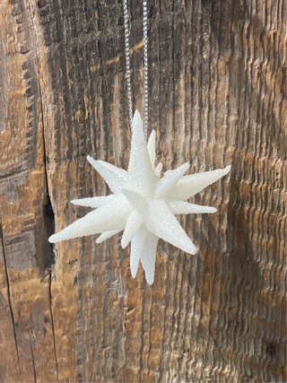 2'' 9 POINT GLITTER STAR ORNAMENT - WHITE