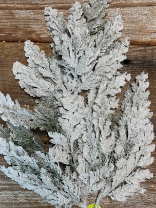 SNOWY CEDAR SPRAY