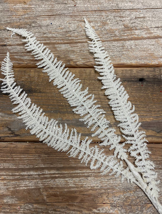 35'' GLITTER FERN SPRAY -WHITE