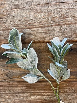 28'' SNOWED LAMBS EAR SPRAY -GREE/ICE