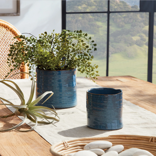 ALVA POTS